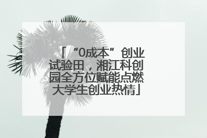 “0成本”创业试验田，湘江科创园全方位赋能点燃大学生创业热情