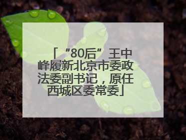 “80后”王中峰履新北京市委政法委副书记，原任西城区委常委