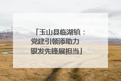 玉山县临湖镇：党建引领添助力 银发先锋展担当