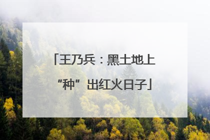 王乃兵：黑土地上“种”出红火日子