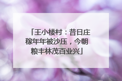 王小楼村：昔日庄稼年年被沙压，今朝粮丰林茂百业兴