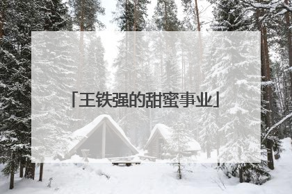 王铁强的甜蜜事业