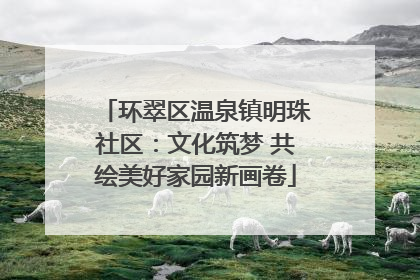 环翠区温泉镇明珠社区：文化筑梦 共绘美好家园新画卷