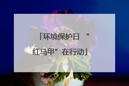 环境保护日 “红马甲”在行动