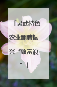 灵武特色农业翻腾振兴“致富浪”