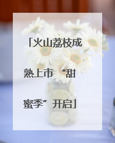 火山荔枝成熟上市 “甜蜜季”开启