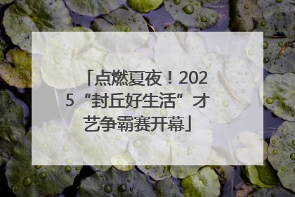 点燃夏夜！2025“封丘好生活”才艺争霸赛开幕