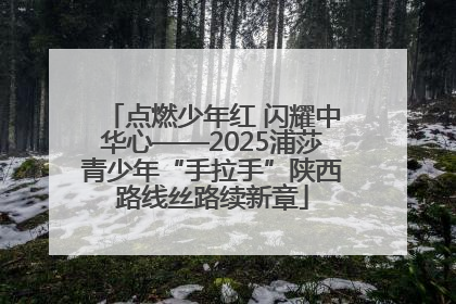 点燃少年红 闪耀中华心——2025浦莎青少年“手拉手”陕西路线丝路续新章