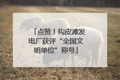 点赞！构皮滩发电厂获评“全国文明单位”称号