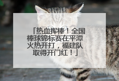 热血挥棒！全国棒球锦标赛在平潭火热开打，福建队取得开门红！
