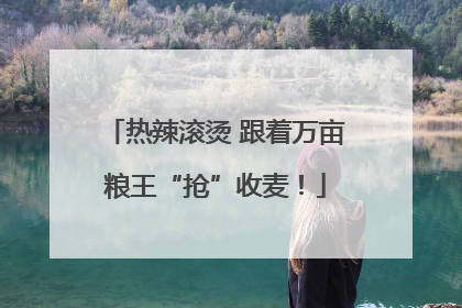 热辣滚烫 跟着万亩粮王“抢”收麦！