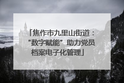 焦作市九里山街道：“数字赋能”助力党员档案电子化管理
