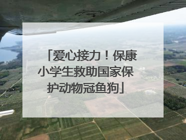 爱心接力！保康小学生救助国家保护动物冠鱼狗
