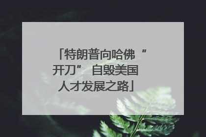 特朗普向哈佛“开刀” 自毁美国人才发展之路
