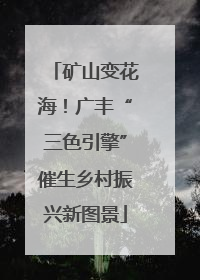 矿山变花海！广丰“三色引擎”催生乡村振兴新图景