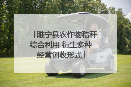 睢宁县农作物秸秆综合利用 衍生多种经营创收形式