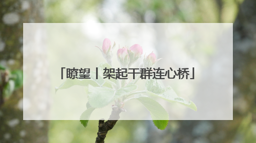瞭望丨架起干群连心桥