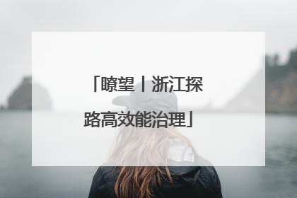 瞭望丨浙江探路高效能治理