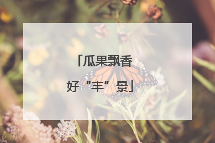 瓜果飘香 好“丰”景