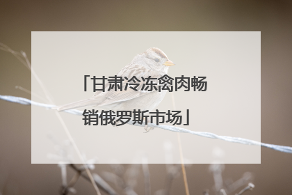 甘肃冷冻禽肉畅销俄罗斯市场