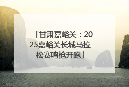 甘肃嘉峪关：2025嘉峪关长城马拉松赛鸣枪开跑