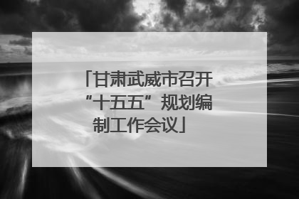 甘肃武威市召开“十五五”规划编制工作会议