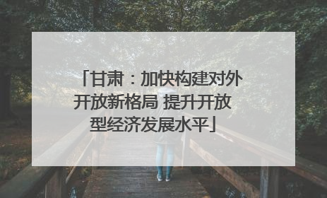 甘肃：加快构建对外开放新格局 提升开放型经济发展水平