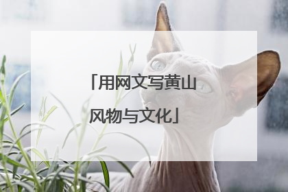 用网文写黄山风物与文化