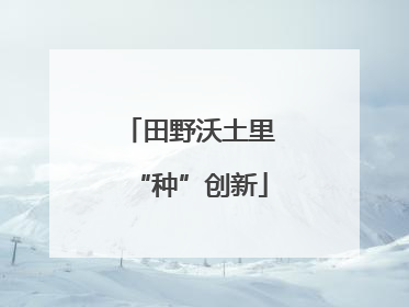田野沃土里“种”创新