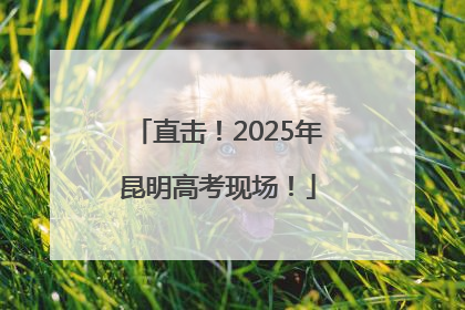 直击！2025年昆明高考现场！
