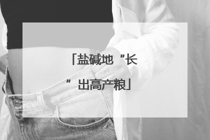 盐碱地“长”出高产粮