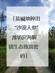 盐碱地种出“沙漠人参” 潍坊滨海解锁生态致富密码