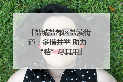 盐城盐都区盐渎街道：多措并举 助力“秸”尽其用
