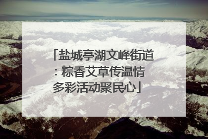 盐城亭湖文峰街道：粽香艾草传温情 多彩活动聚民心