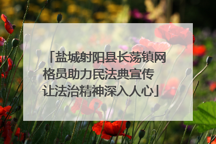 盐城射阳县长荡镇网格员助力民法典宣传 让法治精神深入人心