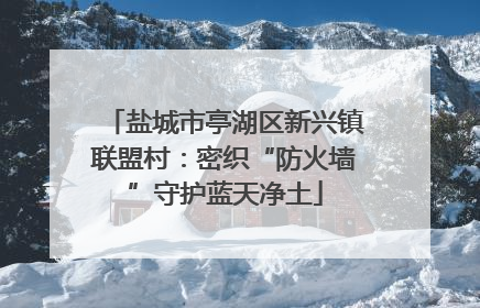 盐城市亭湖区新兴镇联盟村：密织“防火墙”守护蓝天净土