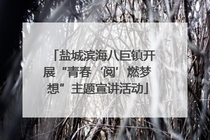 盐城滨海八巨镇开展“青春‘阅’燃梦想”主题宣讲活动