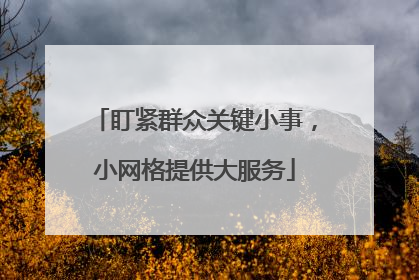 盯紧群众关键小事，小网格提供大服务