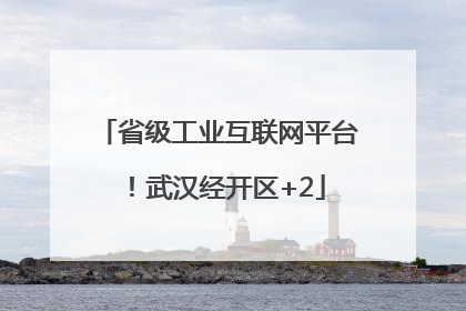 省级工业互联网平台！武汉经开区+2