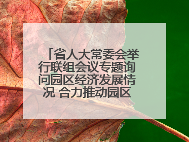 省人大常委会举行联组会议专题询问园区经济发展情况 合力推动园区经济高质量发展 王宁主持会议并讲话 王予波带队到会应询