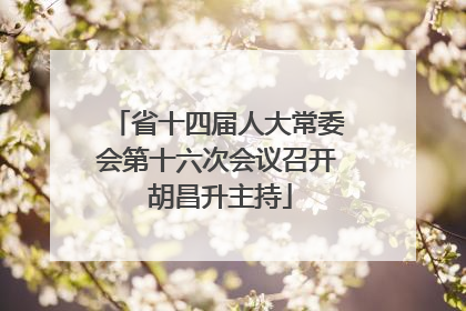 省十四届人大常委会第十六次会议召开 胡昌升主持