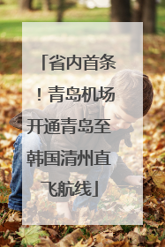 省内首条！青岛机场开通青岛至韩国清州直飞航线