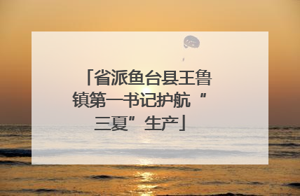 省派鱼台县王鲁镇第一书记护航“三夏”生产
