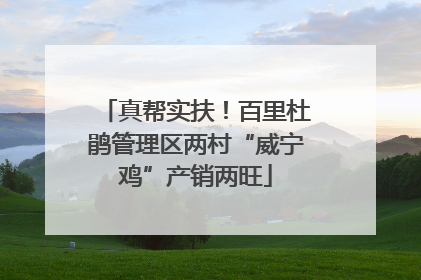 真帮实扶！百里杜鹃管理区两村“威宁鸡”产销两旺