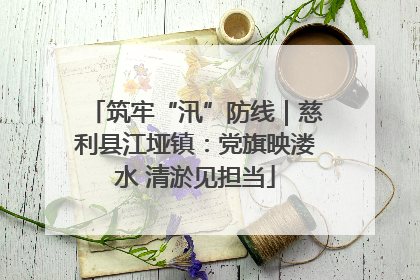 筑牢“汛”防线｜慈利县江垭镇：党旗映溇水 清淤见担当
