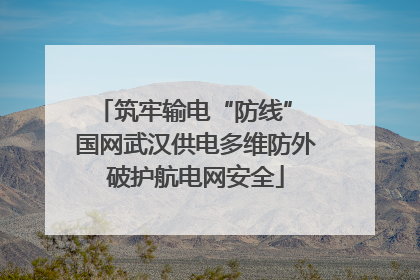 筑牢输电“防线” 国网武汉供电多维防外破护航电网安全