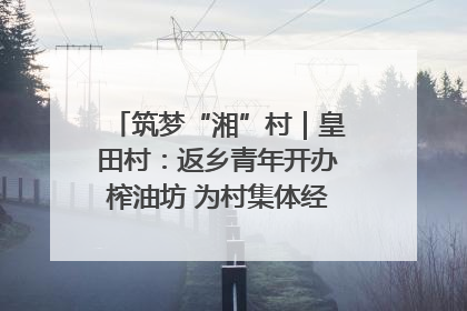 筑梦“湘”村｜皇田村：返乡青年开办榨油坊 为村集体经济“加油”