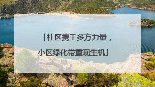 社区携手多方力量，小区绿化带重现生机