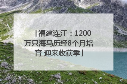 福建连江：1200万只海马历经8个月培育 迎来收获季