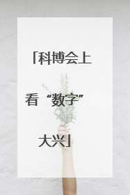 科博会上看“数字”大兴